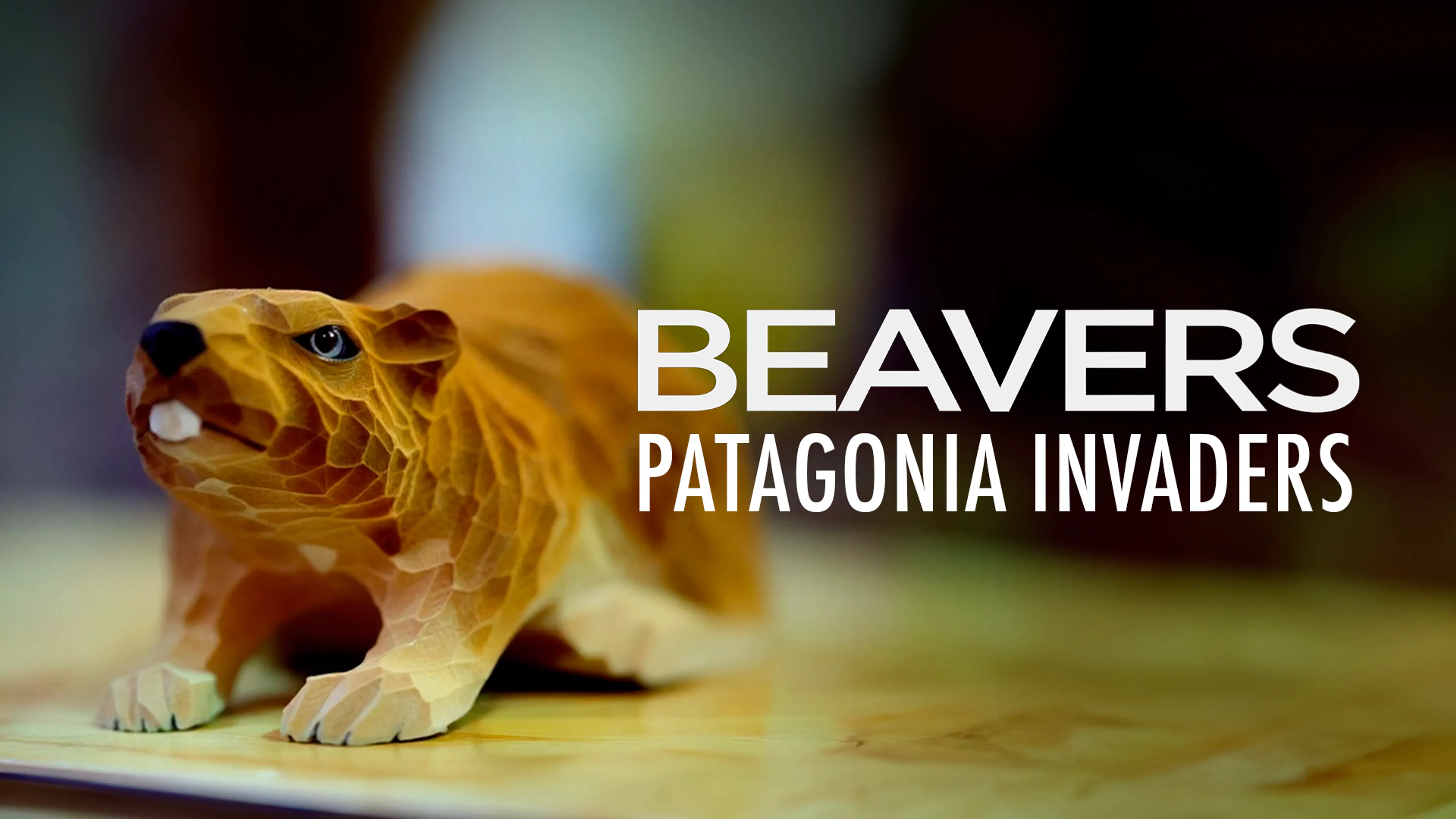 Beavers: Patagonia Invaders poster